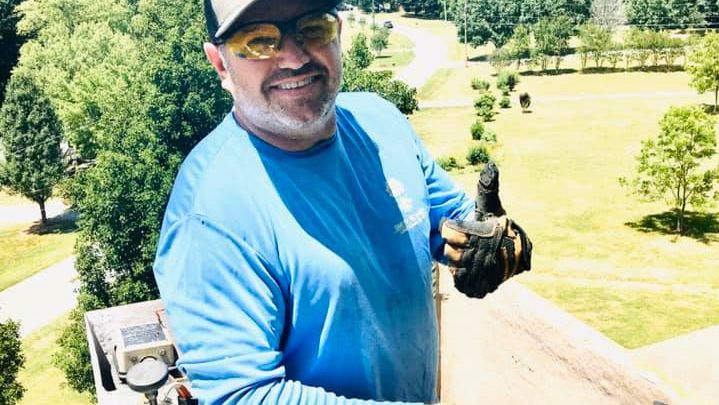 A certified arborist examining a tree, showcasing professional credentials and experience