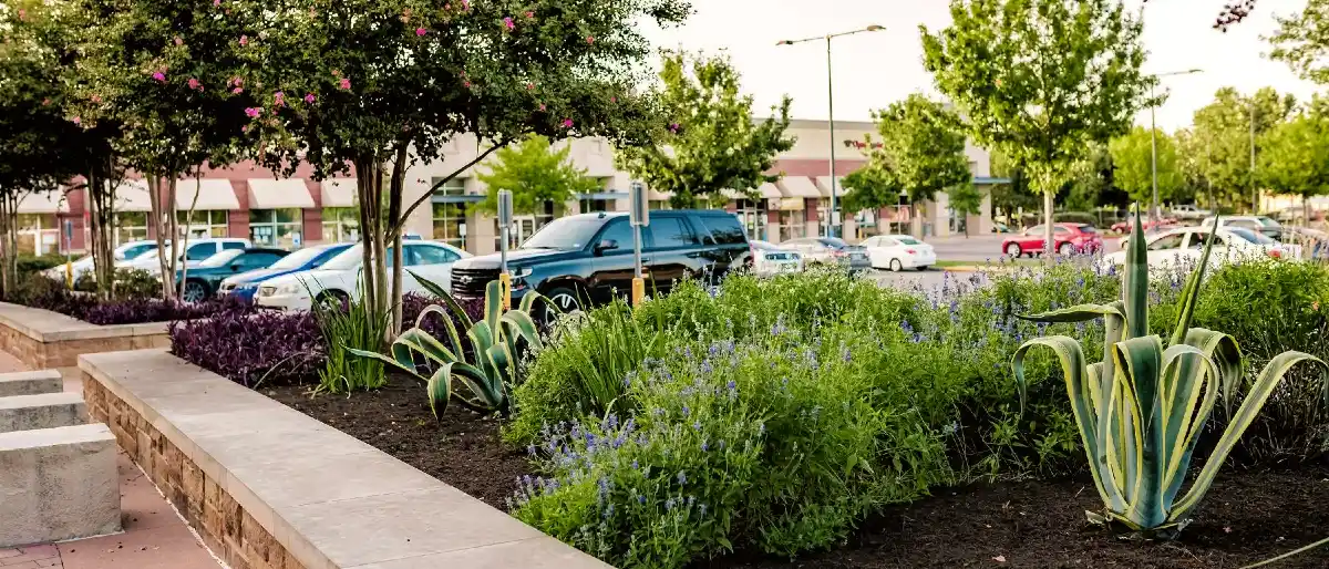 A pristine storefront with regularly maintained landscaping and trees