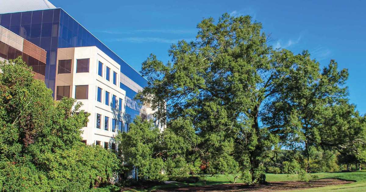 Benefits of Landscaping and Tree Trimming for Businesses